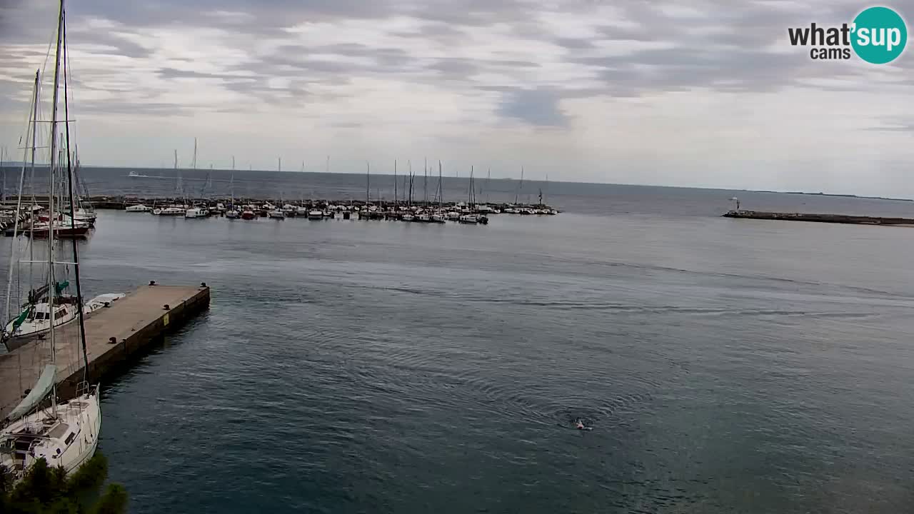 Web kamera Sistiana Uvala – Pogled uživo na marinu i zaljev