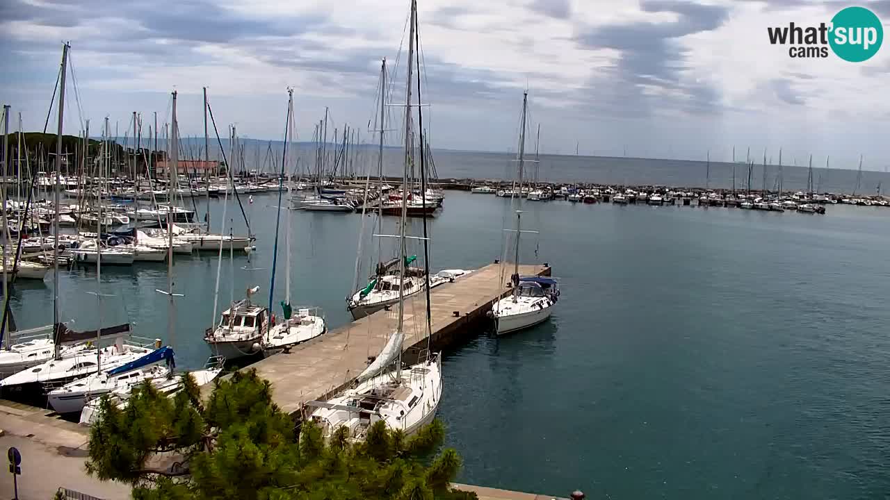 Webcam Sistiana Baia – Live View of the Marina and Gulf