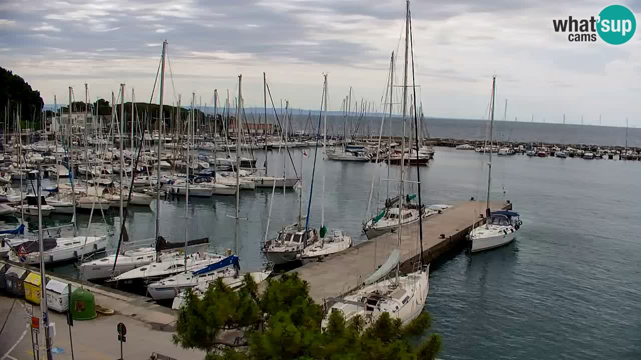 Webcam Sistiana Baia – Live View of the Marina and Gulf
