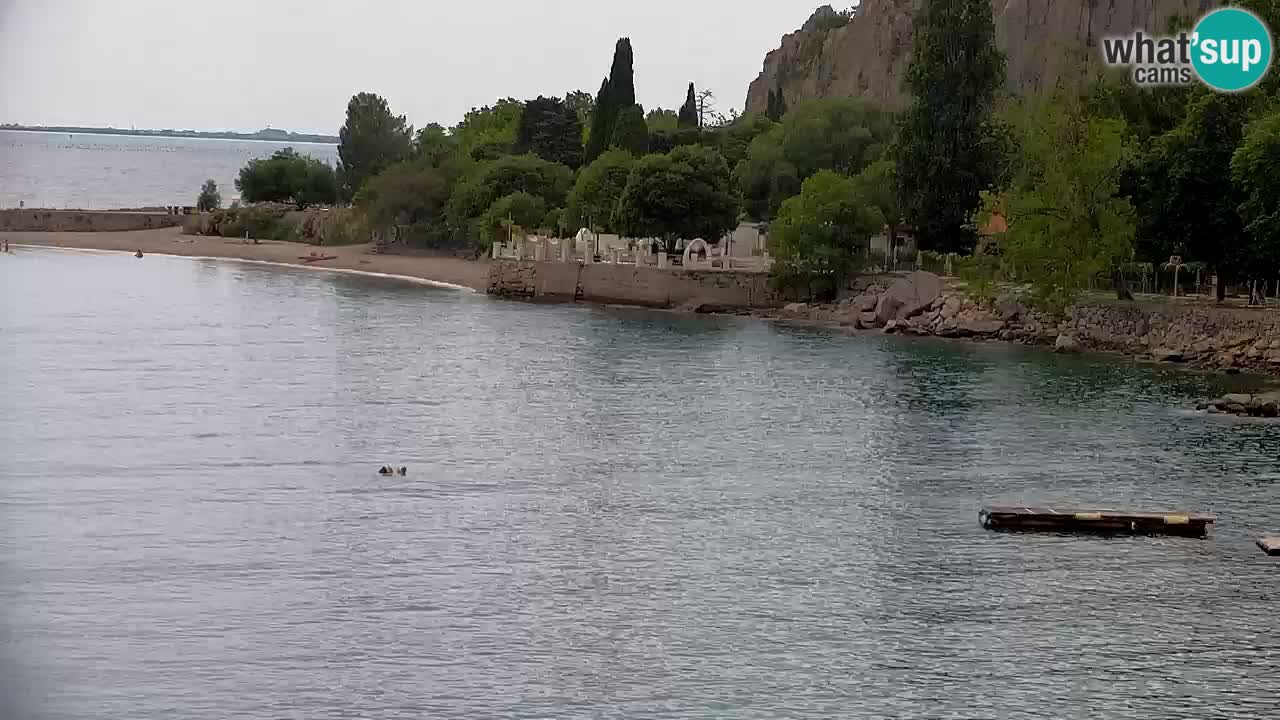 Webcam Sistiana Baia – Live View of the Marina and Gulf