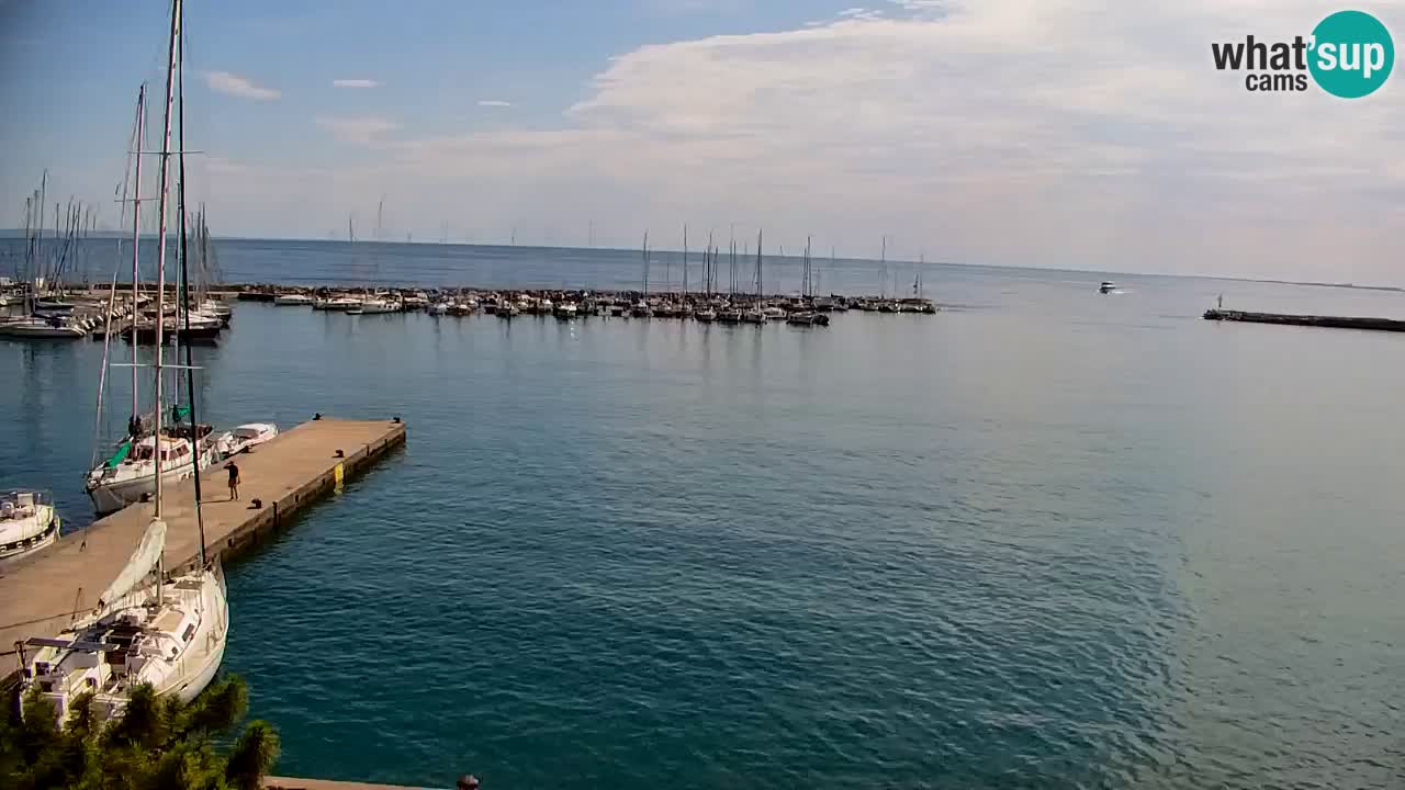 Webcam Sistiana Baia – Live View of the Marina and Gulf