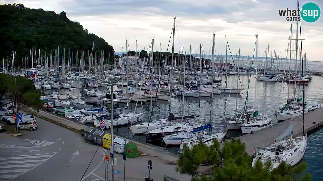 Webcam Sistiana Baia – Live View of the Marina and Gulf