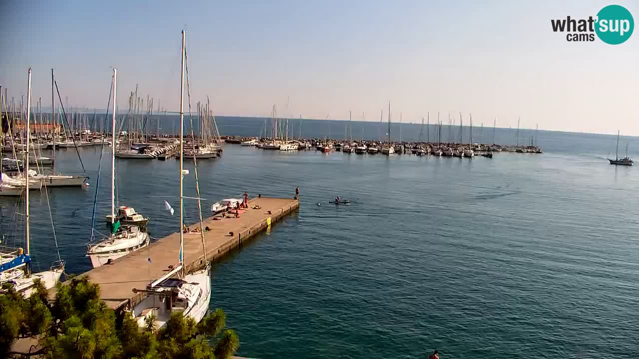 Webcam Sistiana Baia – Live View of the Marina and Gulf