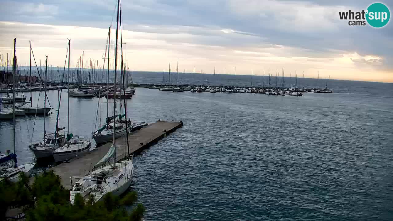 Spletna kamera Sesljanski zaliv – Pogled v živo na marino in zaliv