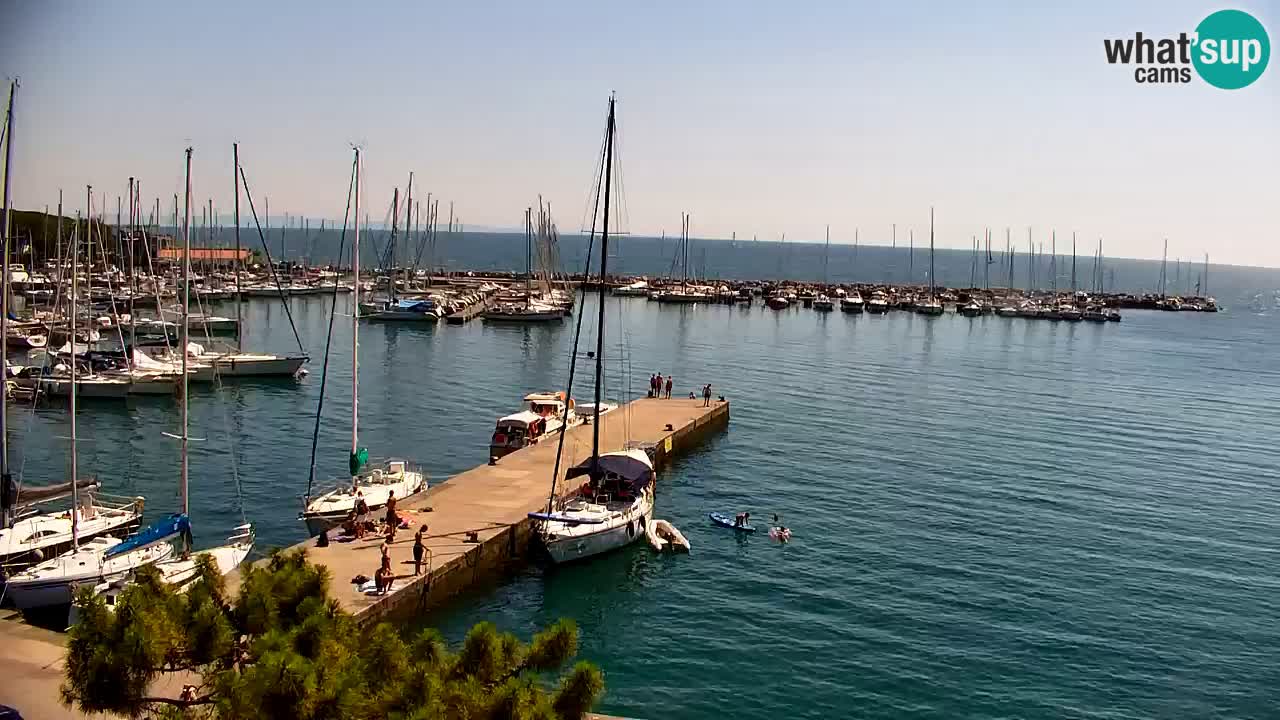 Spletna kamera Sesljanski zaliv – Pogled v živo na marino in zaliv