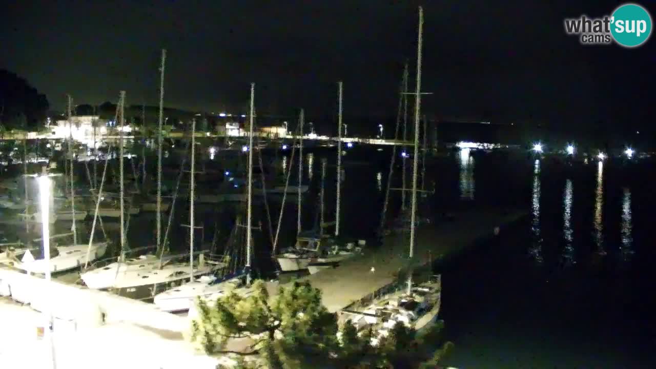 Webcam Sistiana Baia – Live View of the Marina and Gulf