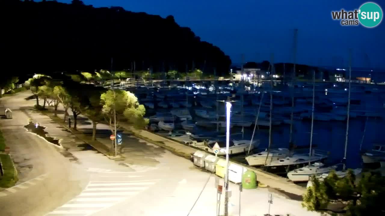 Webcam Sistiana Baia – Live View of the Marina and Gulf