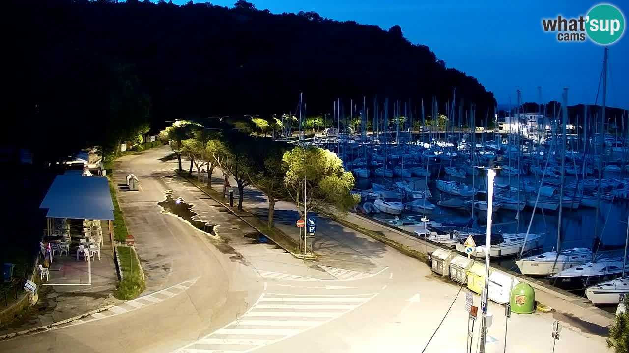 Webcam Sistiana Baia – Live View of the Marina and Gulf