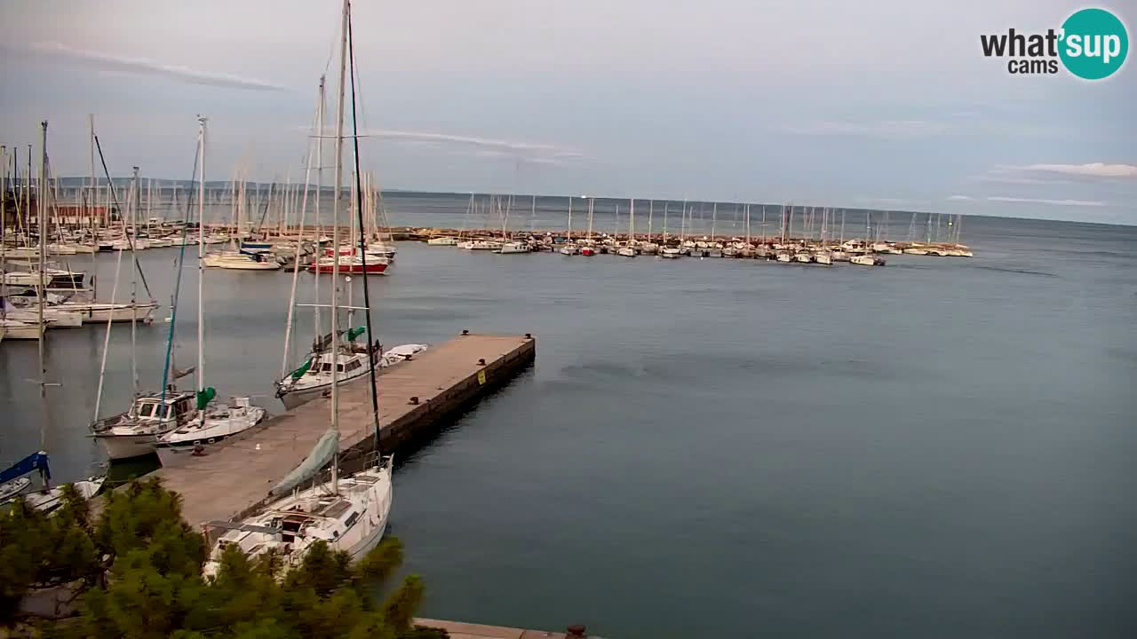 Web kamera Sistiana Uvala – Pogled uživo na marinu i zaljev