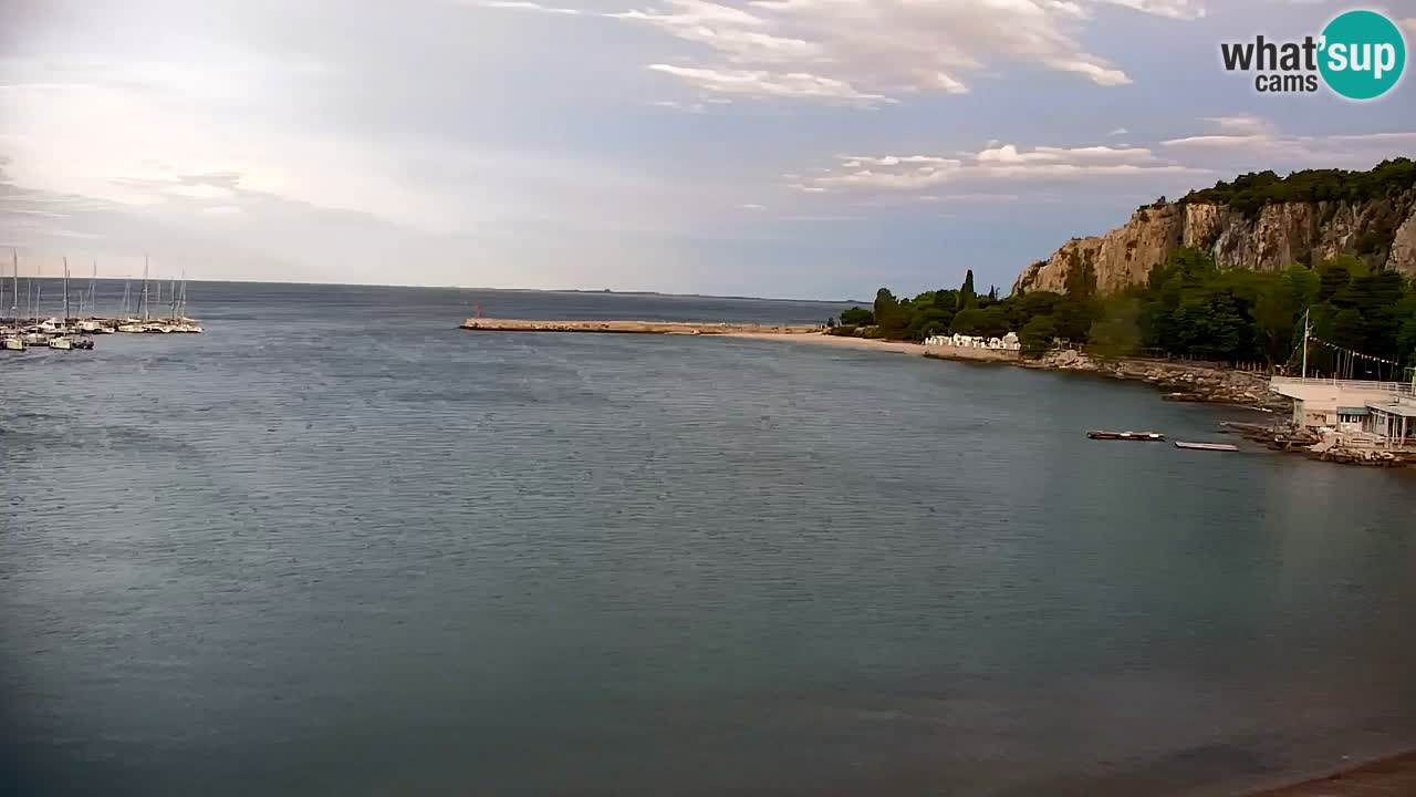 Webcam Sistiana Baia – Live View of the Marina and Gulf