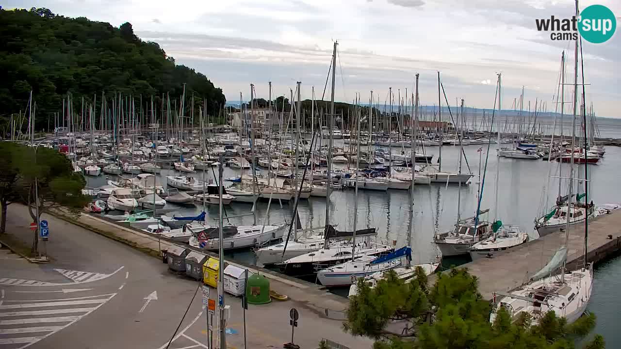 Webcam Sistiana Baia – Live View of the Marina and Gulf