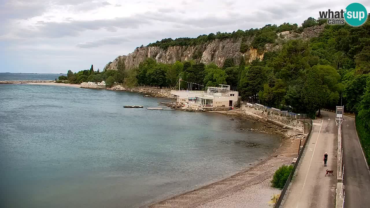 Webcam Sistiana Baia – Live View of the Marina and Gulf