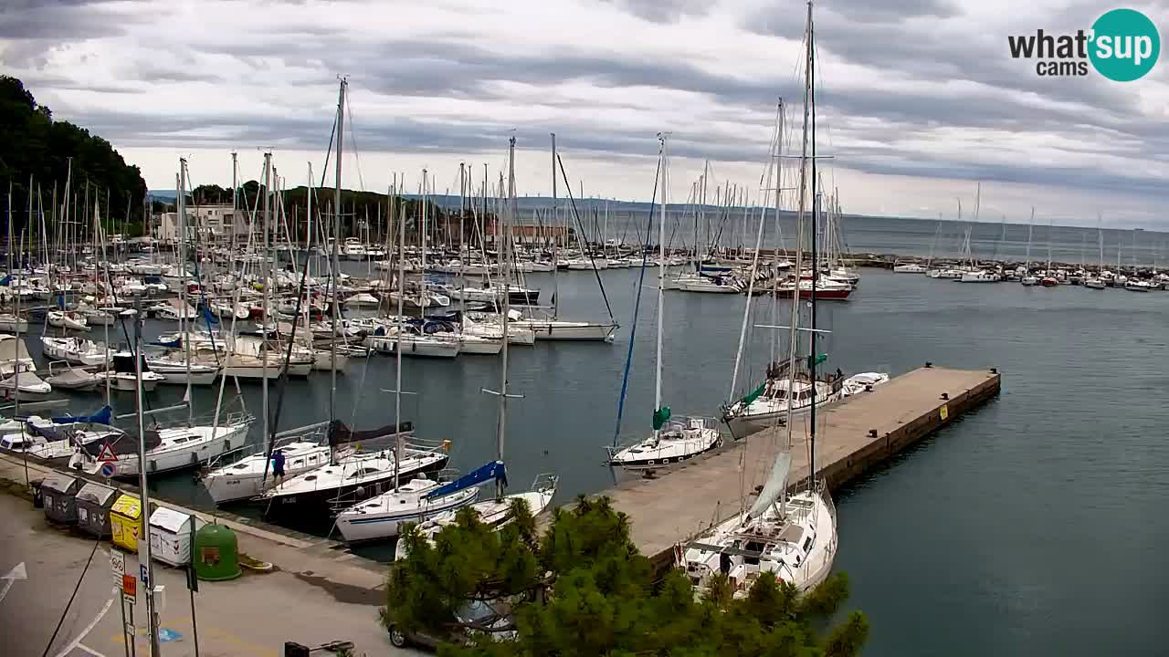 Webcam Sistiana Baia – Live View of the Marina and Gulf