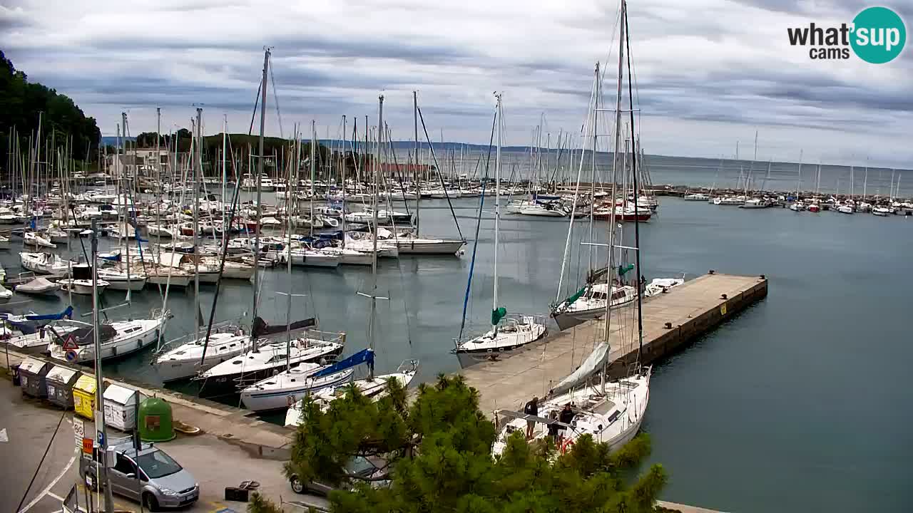 Webcam Bahía de Sistiana – Vista en directo del puerto deportivo y la costa