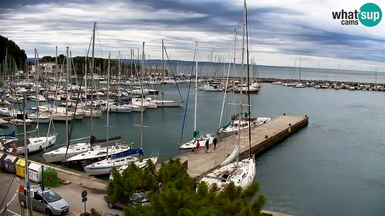 Webcam Sistiana Baia – Live View of the Marina and Gulf