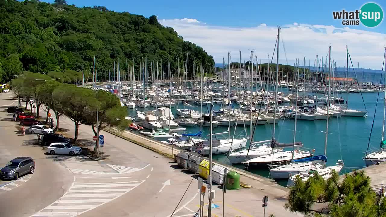 Webcam Sistiana Baia – Live View of the Marina and Gulf