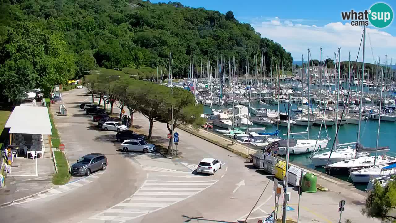 Spletna kamera Sesljanski zaliv – Pogled v živo na marino in zaliv