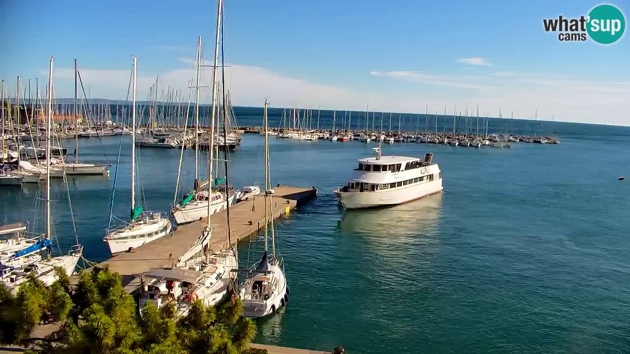 Webcam Bahía de Sistiana – Vista en directo del puerto deportivo y la costa