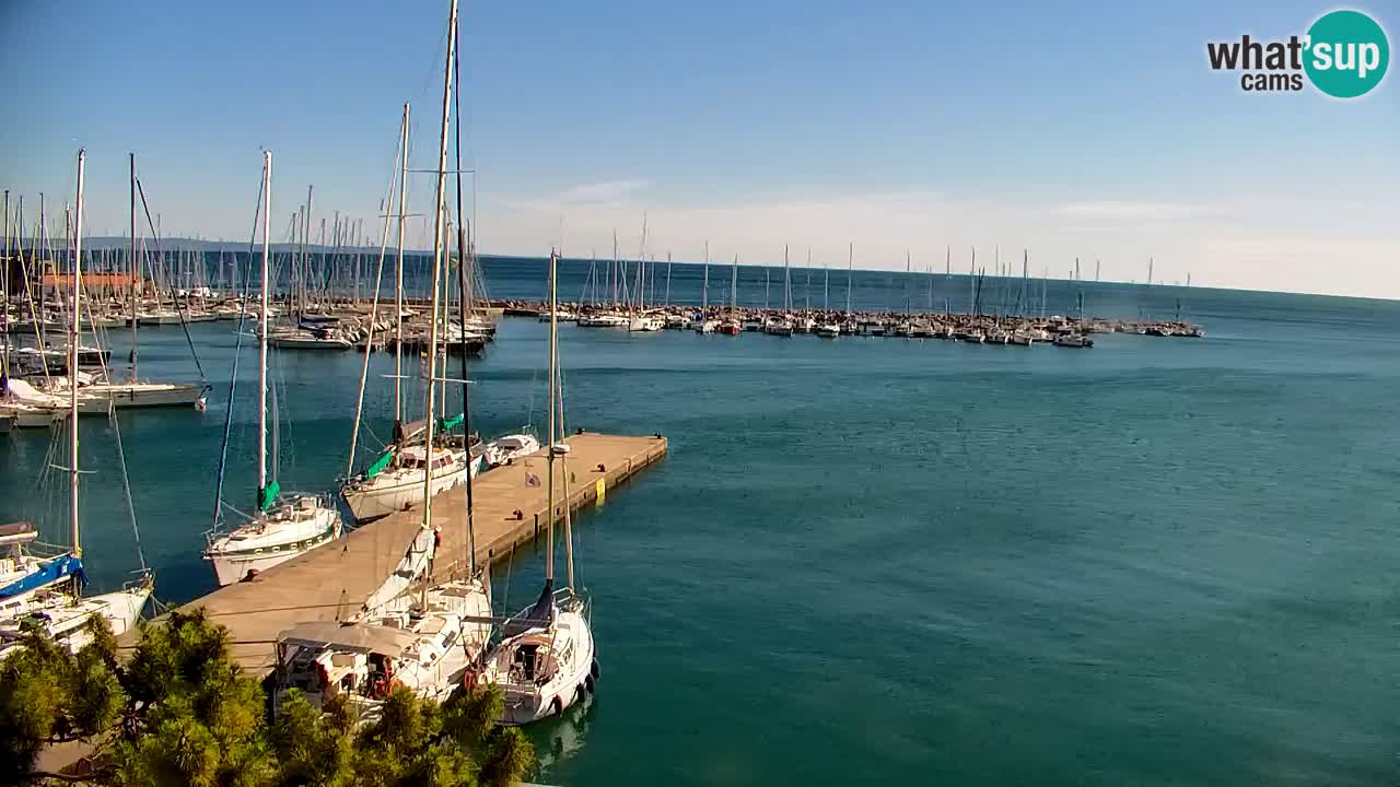 Web kamera Sistiana Uvala – Pogled uživo na marinu i zaljev