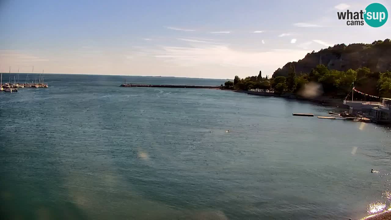Webcam Bahía de Sistiana – Vista en directo del puerto deportivo y la costa