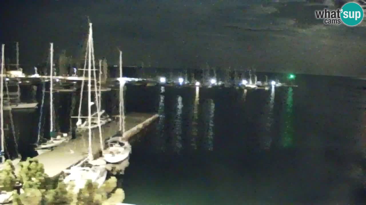 Spletna kamera Sesljanski zaliv – Pogled v živo na marino in zaliv