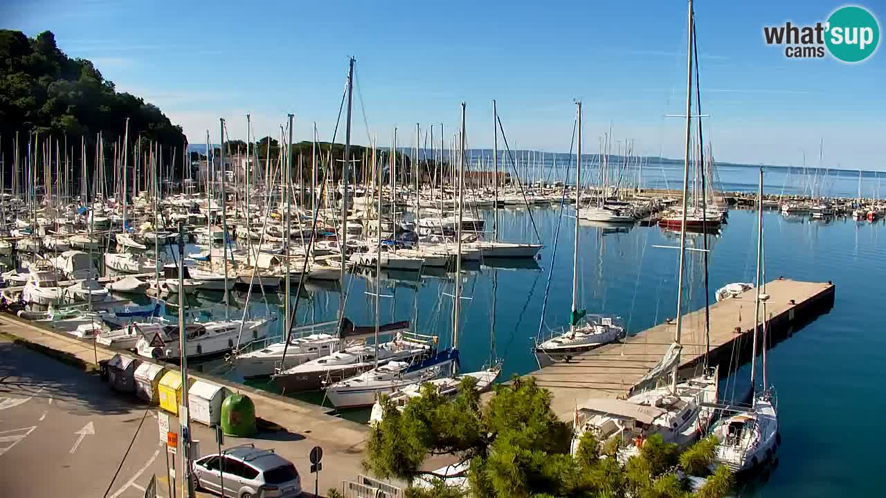 Webcam Bahía de Sistiana – Vista en directo del puerto deportivo y la costa