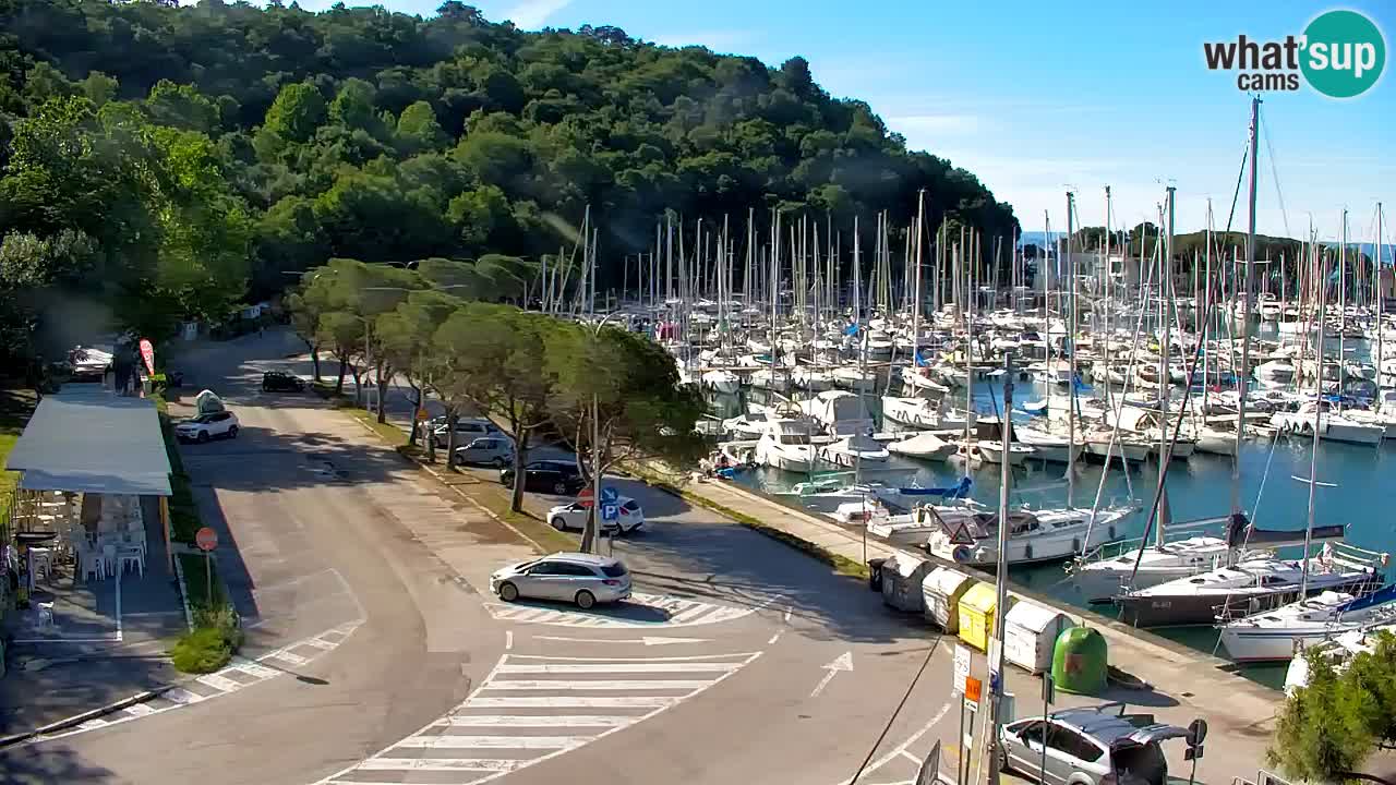 Web kamera Sistiana Uvala – Pogled uživo na marinu i zaljev