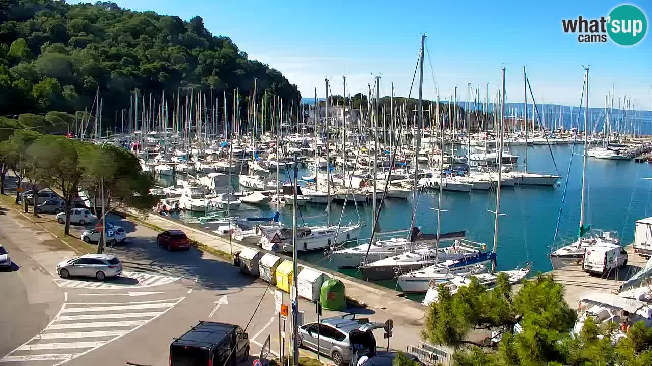 Webcam Sistiana Baia – Live View of the Marina and Gulf