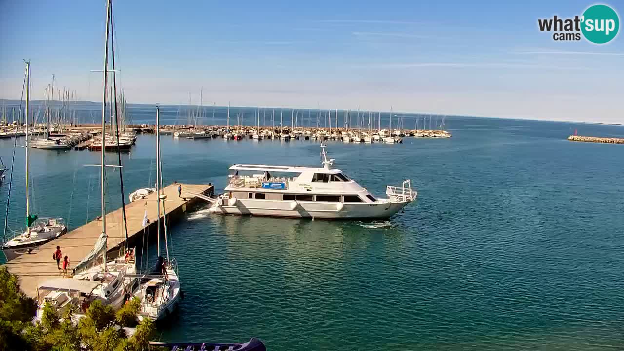 Webcam Baie de Sistiana – Vue en direct de la marina et de la baie