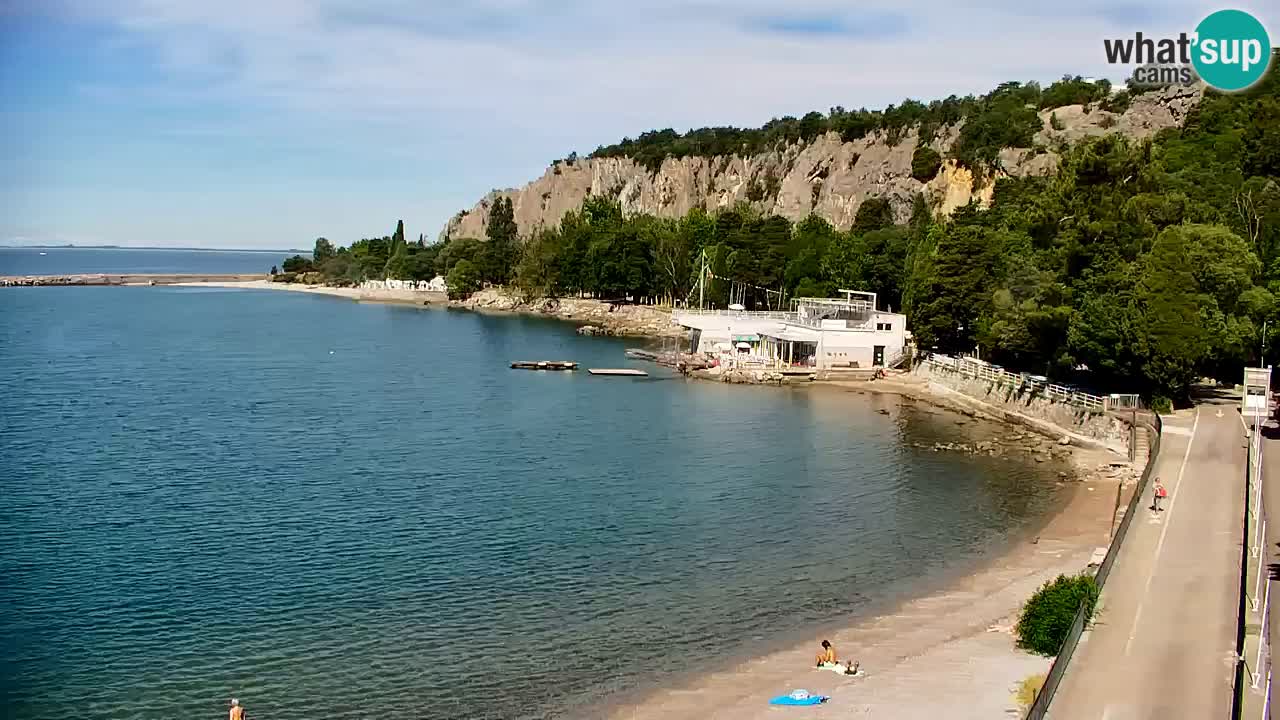 Webcam Bahía de Sistiana – Vista en directo del puerto deportivo y la costa