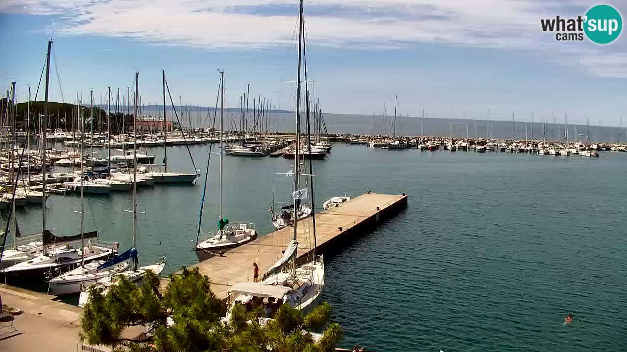 Spletna kamera Sesljanski zaliv – Pogled v živo na marino in zaliv