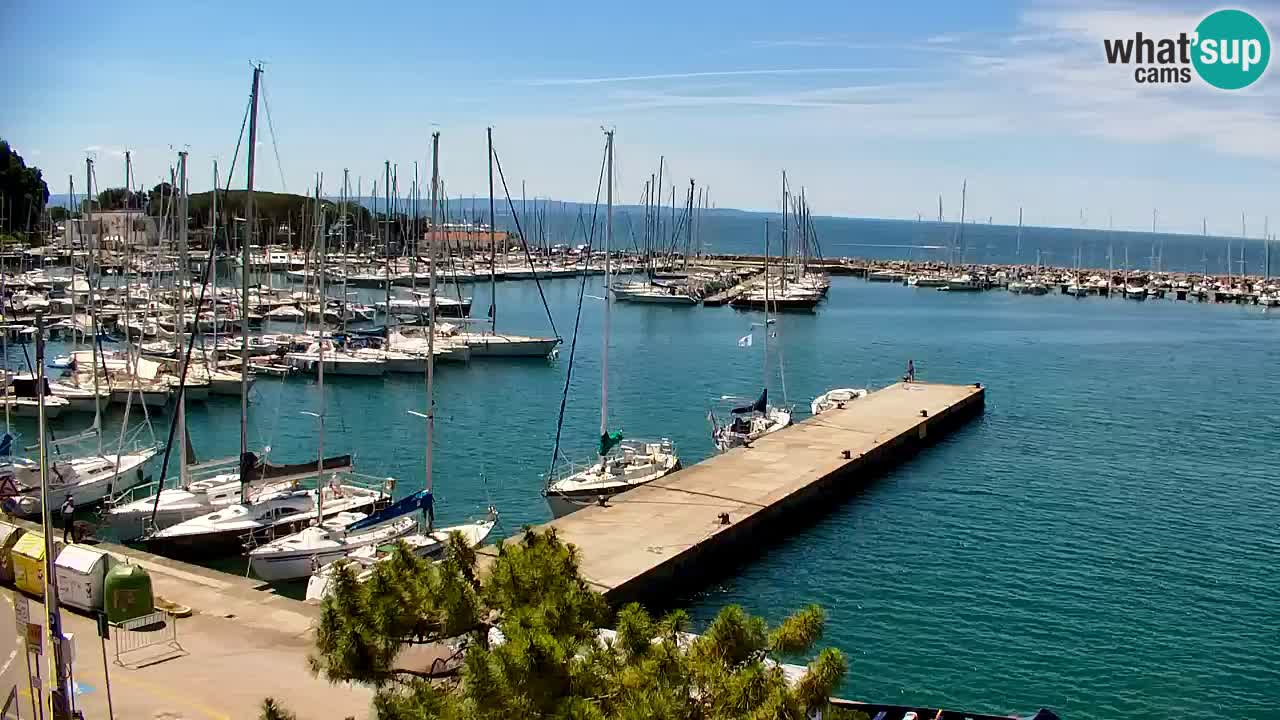 Webcam Sistiana Baia – Live View of the Marina and Gulf