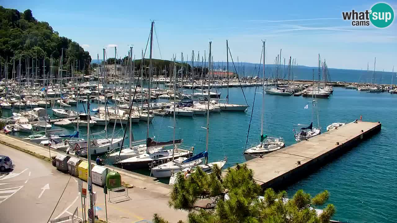 Webcam Sistiana Baia – Live View of the Marina and Gulf
