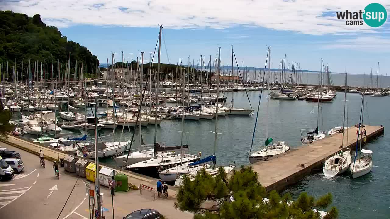 Webcam Sistiana Baia – Live View of the Marina and Gulf