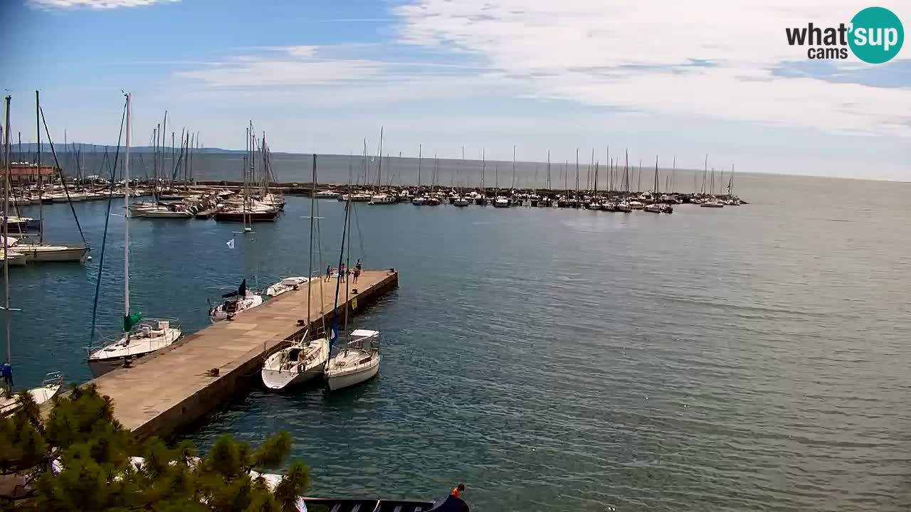 Webcam Sistiana Baia – Live View of the Marina and Gulf