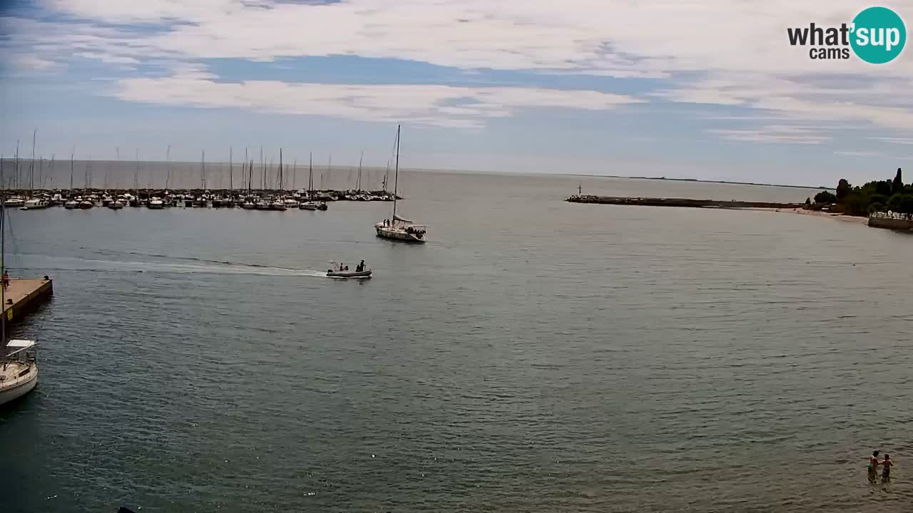 Webcam Sistiana Baia – Live View of the Marina and Gulf