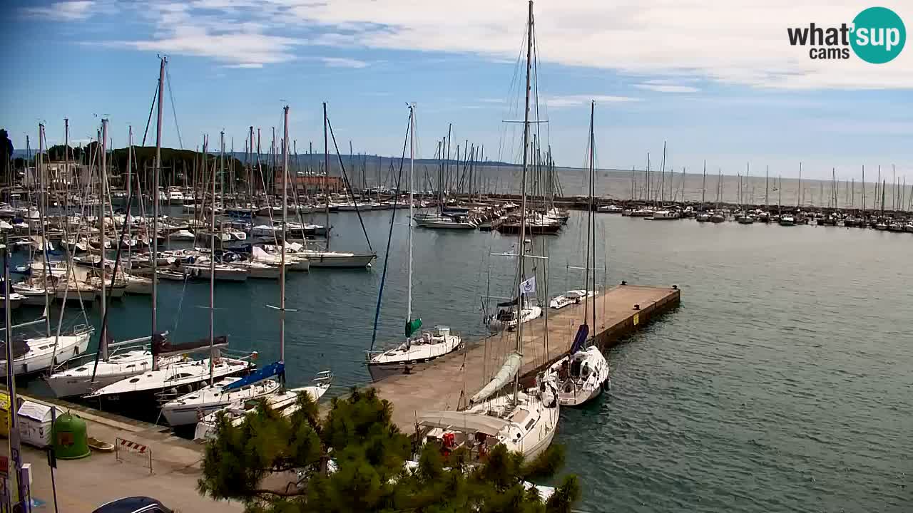 Webcam Sistiana Baia – Live View of the Marina and Gulf
