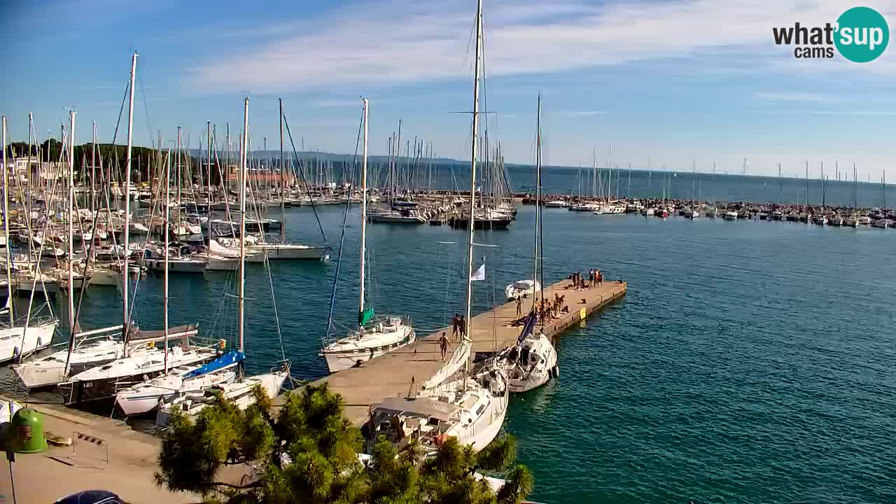 Webcam Sistiana Baia – Live View of the Marina and Gulf