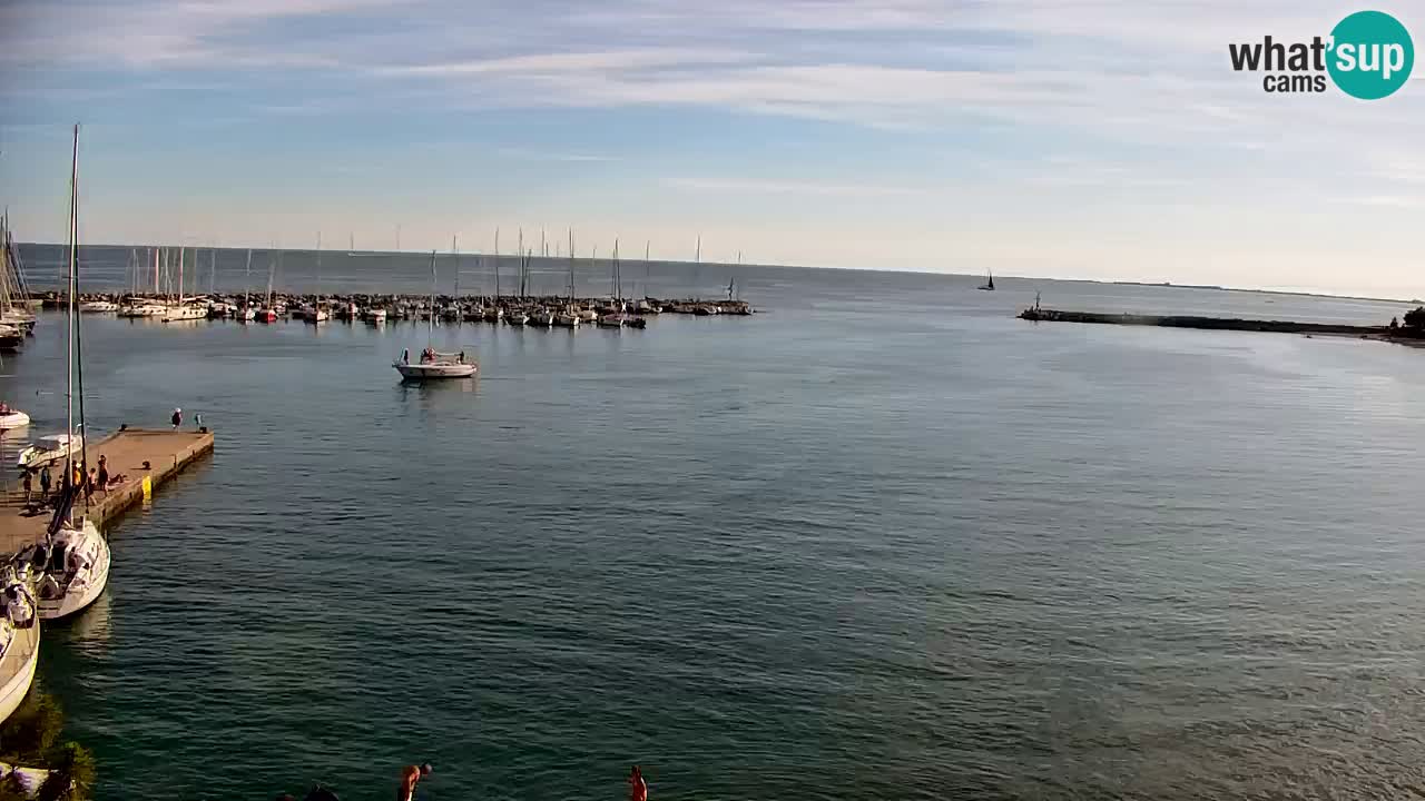 Webcam Bahía de Sistiana – Vista en directo del puerto deportivo y la costa