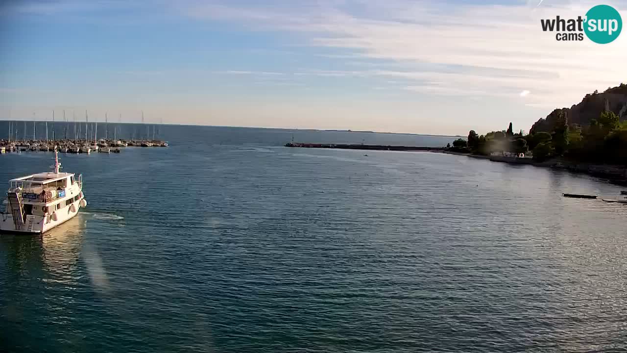 Webcam Sistiana Baia – Live View of the Marina and Gulf