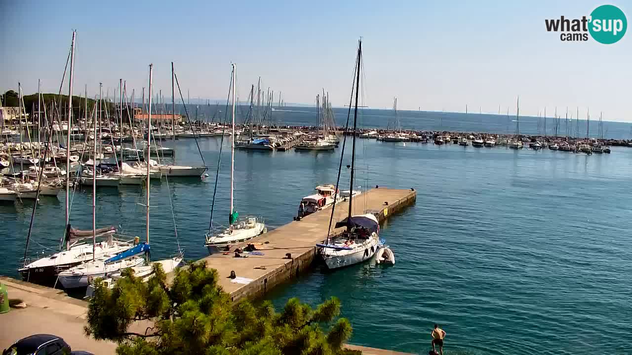 Web kamera Sistiana Uvala – Pogled uživo na marinu i zaljev