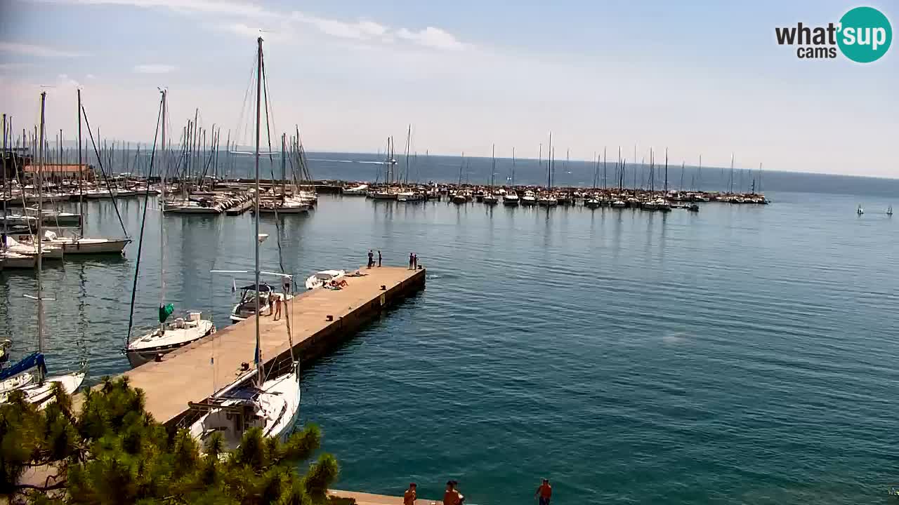 Webcam Sistiana Baia – Live View of the Marina and Gulf