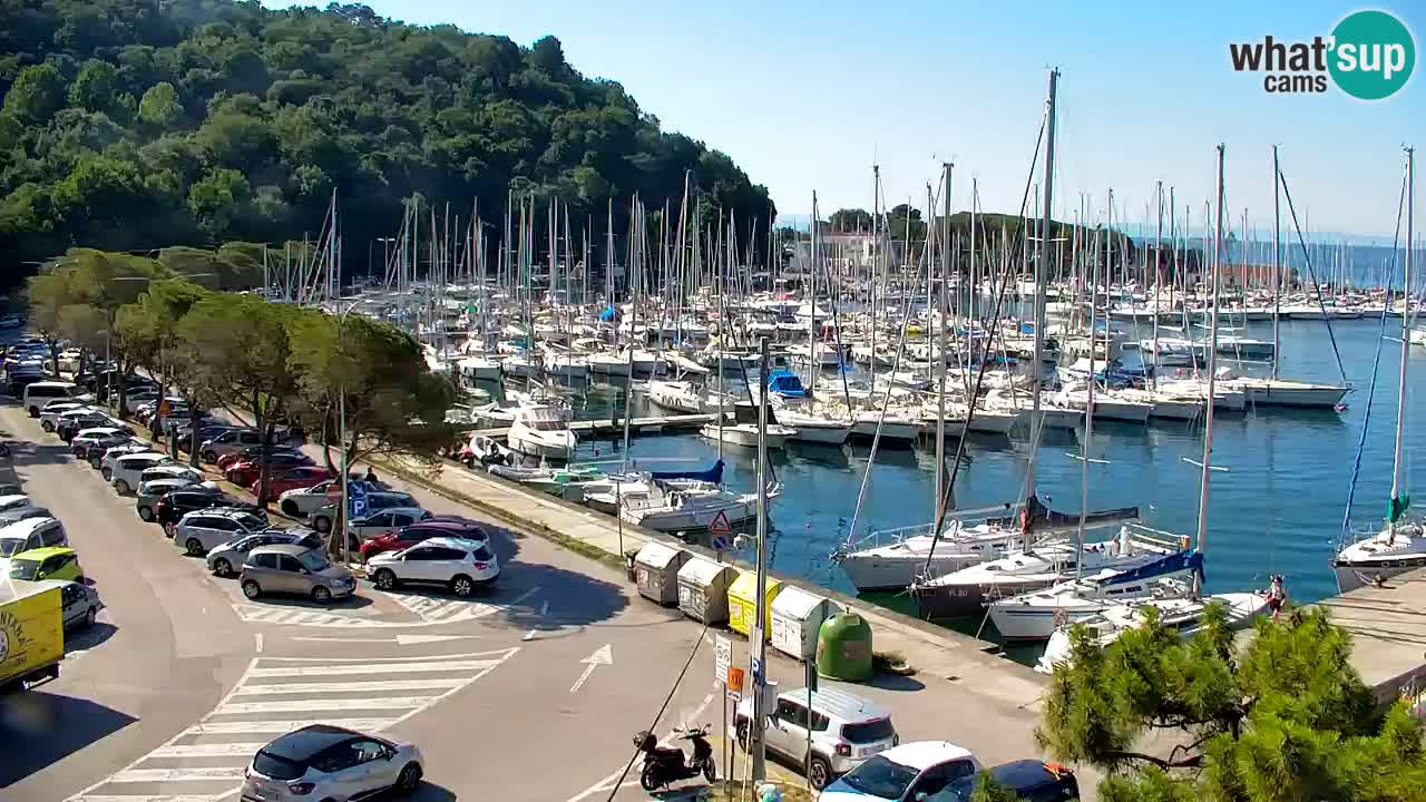 Webcam Sistiana Baia – Live View of the Marina and Gulf