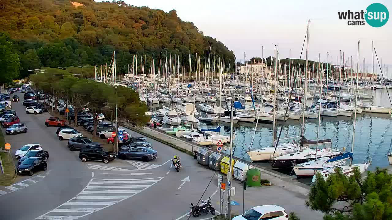 Webcam Sistiana Baia – Live View of the Marina and Gulf