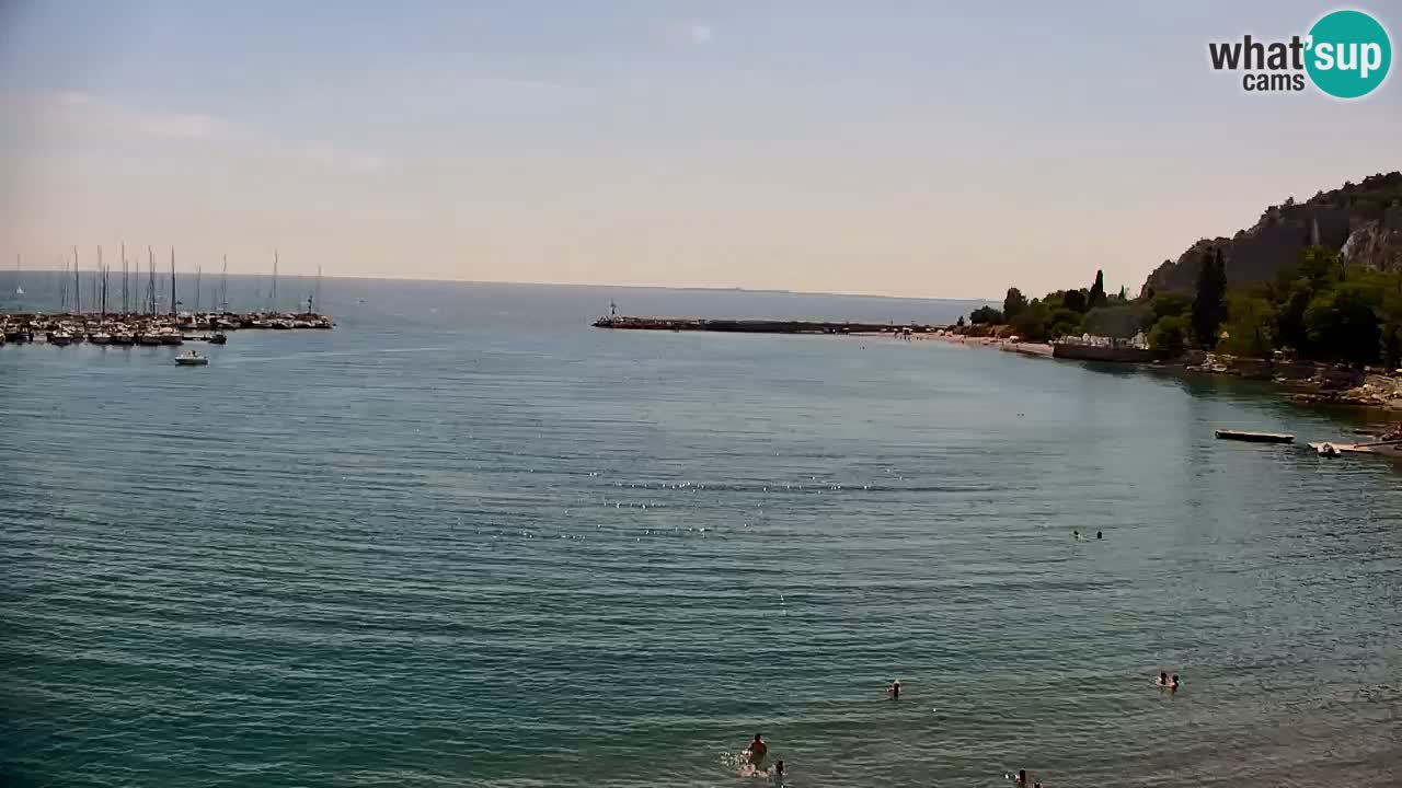 Webcam Sistiana Baia – Live View of the Marina and Gulf