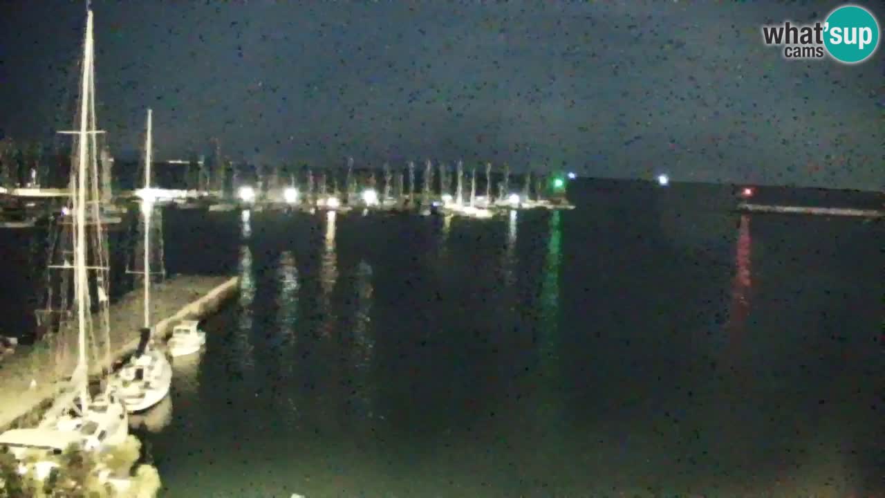 Spletna kamera Sesljanski zaliv – Pogled v živo na marino in zaliv