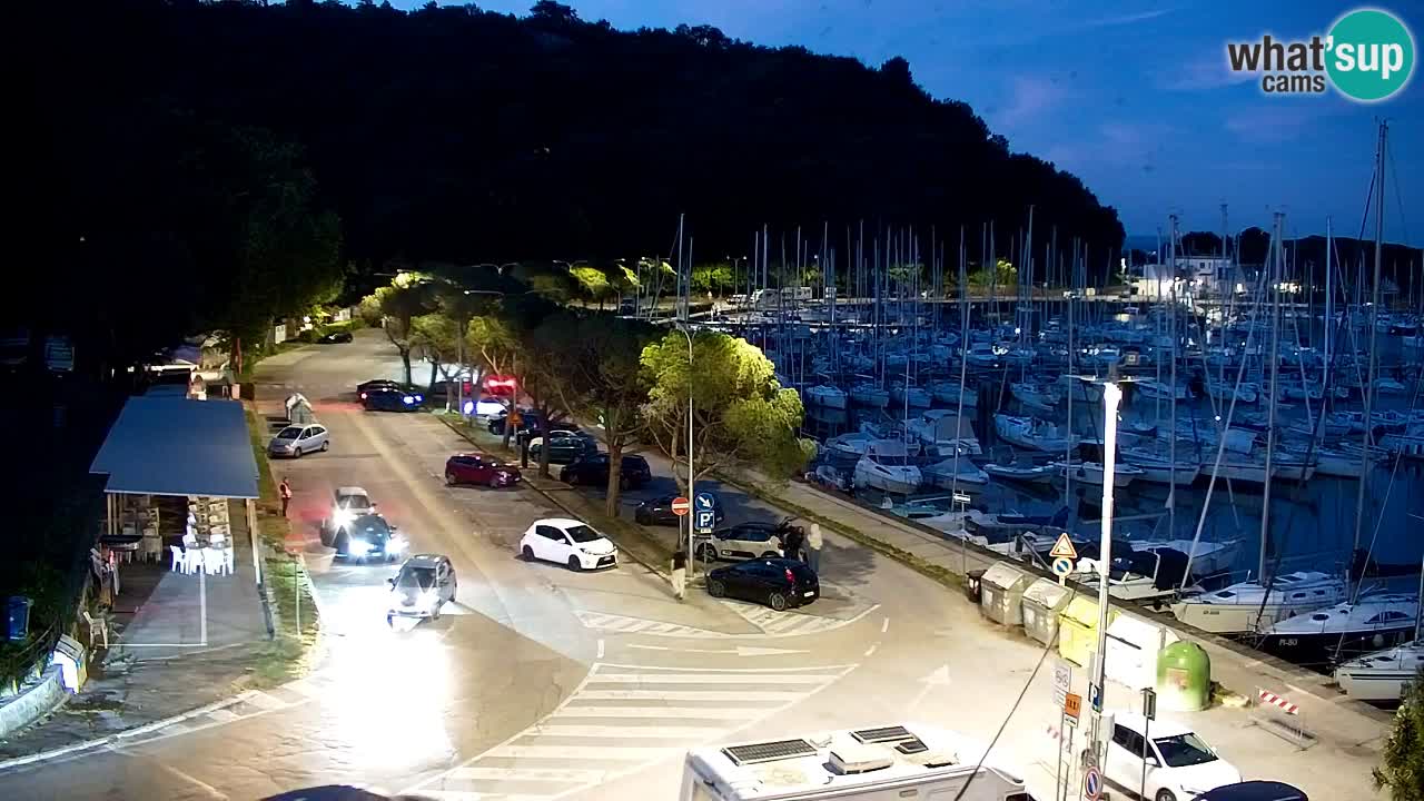 Spletna kamera Sesljanski zaliv – Pogled v živo na marino in zaliv