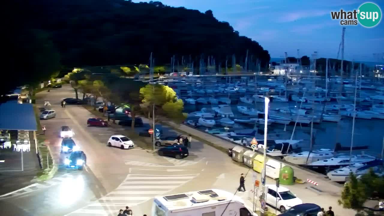 Webcam Bahía de Sistiana – Vista en directo del puerto deportivo y la costa
