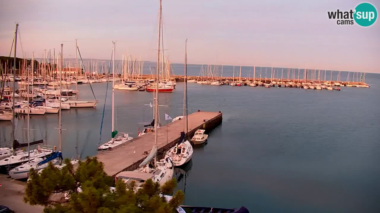 Webcam Sistiana Baia – Live View of the Marina and Gulf