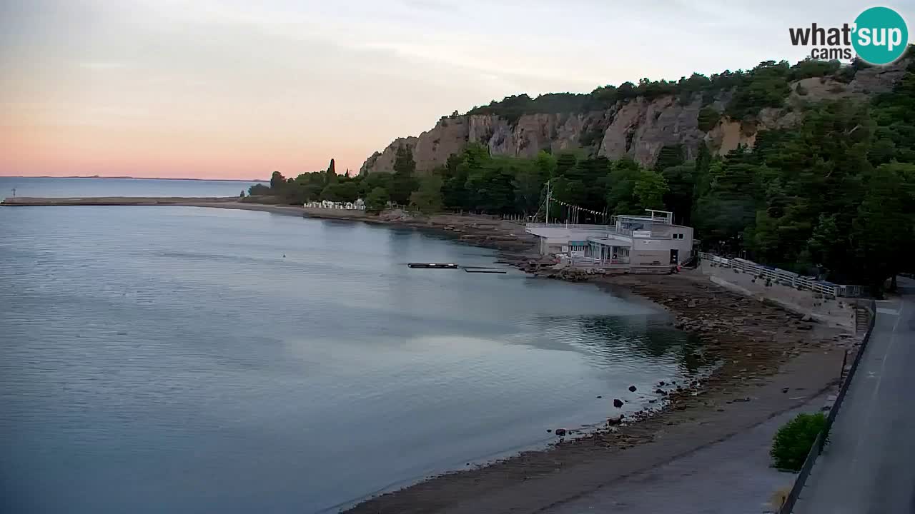 Webcam Sistiana Baia – Live View of the Marina and Gulf